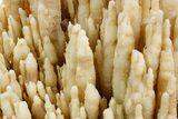 Fascinating, Calcite/Aragonite Stalactite Formation - China #360497-4